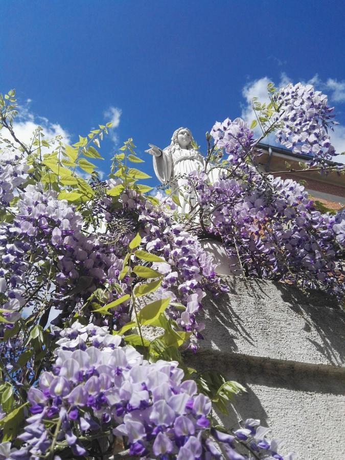 Villa Sacro Cuore San Giovanni Rotondo Eksteriør billede